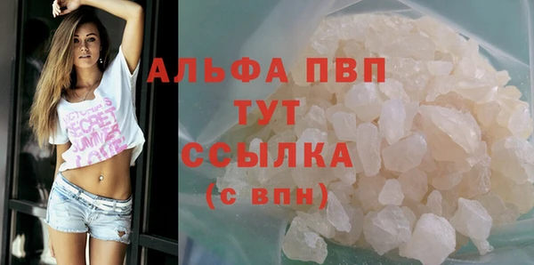 стафф Арсеньев