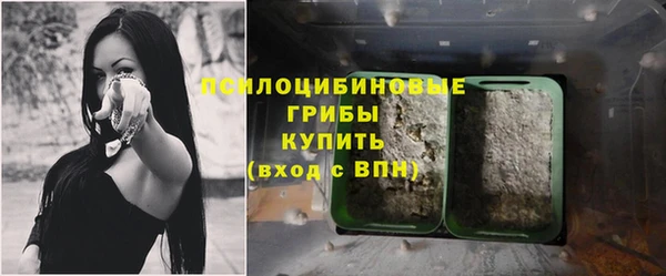 соль ск Аркадак