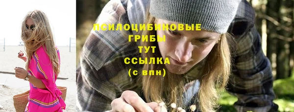соль ск Аркадак